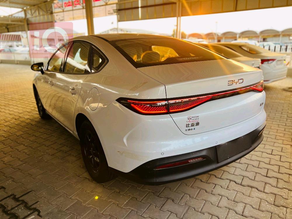 بي واي دي سيل 06 DM-i